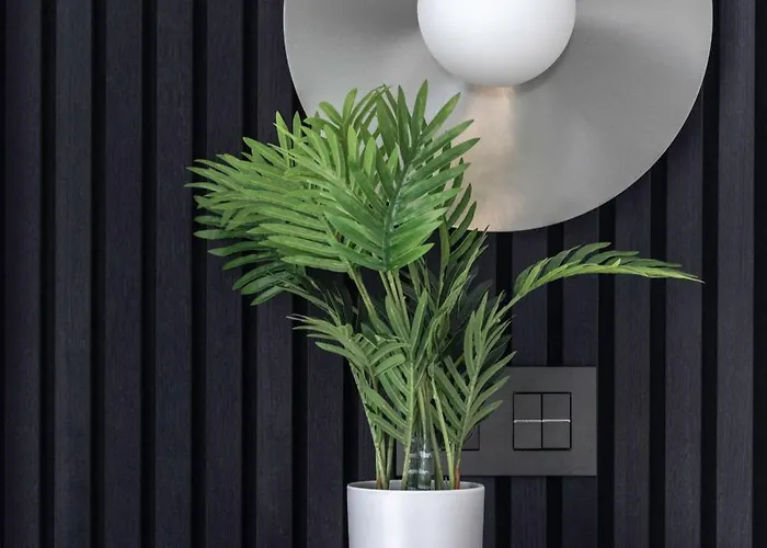 Akomodat En Precioso Y Moderno Con Jardin Y Parking Apartment